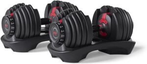 Bowflex Dumbells